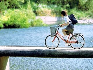 1d9da8cb442fec14adf1dc40d20323a2.jpg